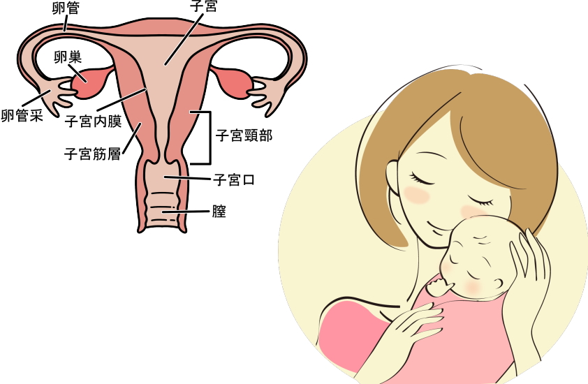 濡れやすい人 妊娠しやすい